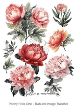 Load image into Gallery viewer, Peony frills 1