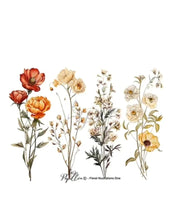 Load image into Gallery viewer, Floral illustrations 1