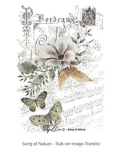 Load image into Gallery viewer, Song of nature