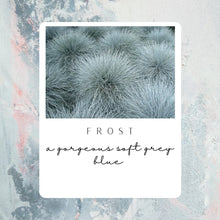 Load image into Gallery viewer, Frost
