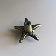 Load image into Gallery viewer, Starfish knob - Walnut lane
